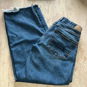 AE Lowrise Baggy Wide Leg